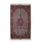 Luxurious Bijar Design Hand-Knotted Rug | Wool & Silk Blend
