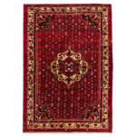 Luxurious Hamadan Hand-Knotted Rug - 3m of Hand-Spun Wool Elegance