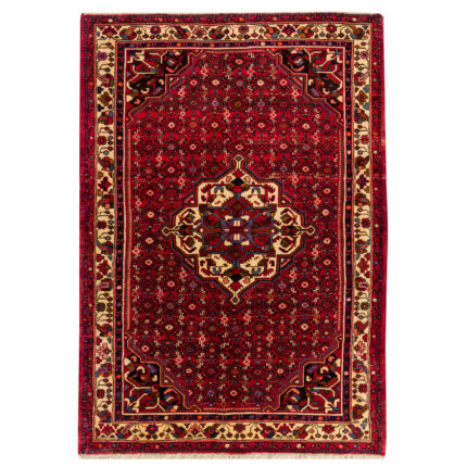 Luxurious Hamadan Hand-Knotted Rug - 3m of Hand-Spun Wool Elegance