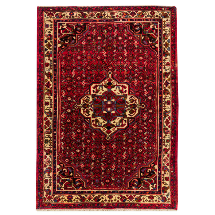Luxurious Hamadan Hand-Knotted Rug - 3m of Hand-Spun Wool Elegance